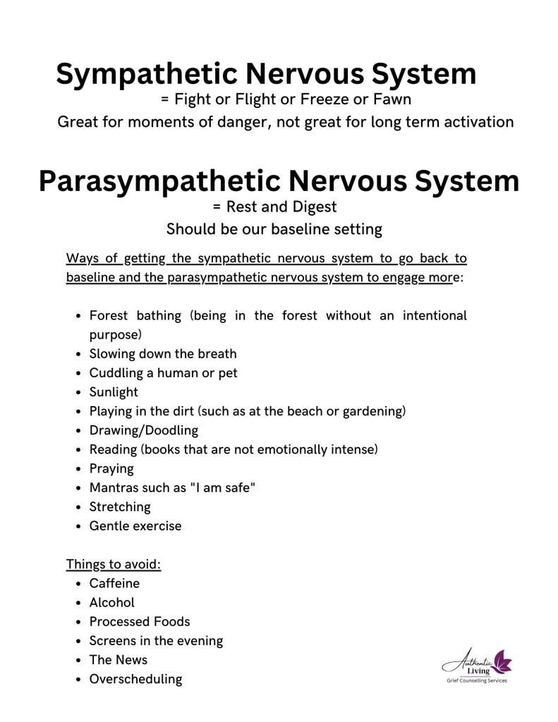 Sympathetic Parasympathetic Worksheet, Authentic Living London
